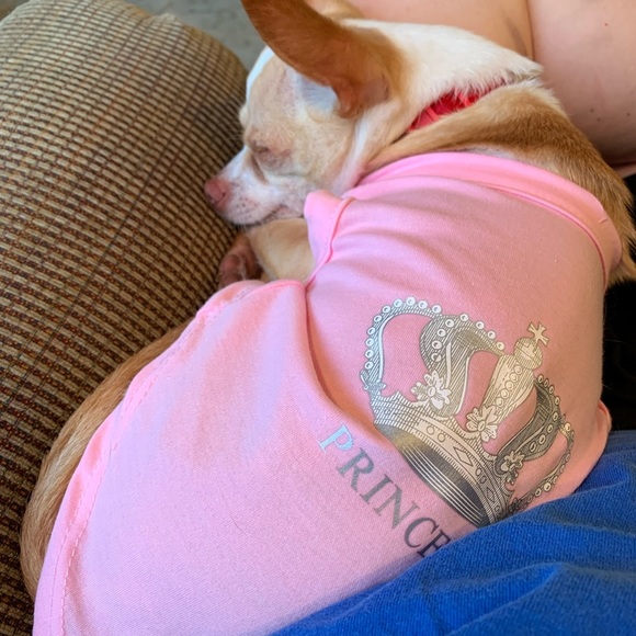 Expawlorer Small Princess T Shirt - Picture 5 of 6